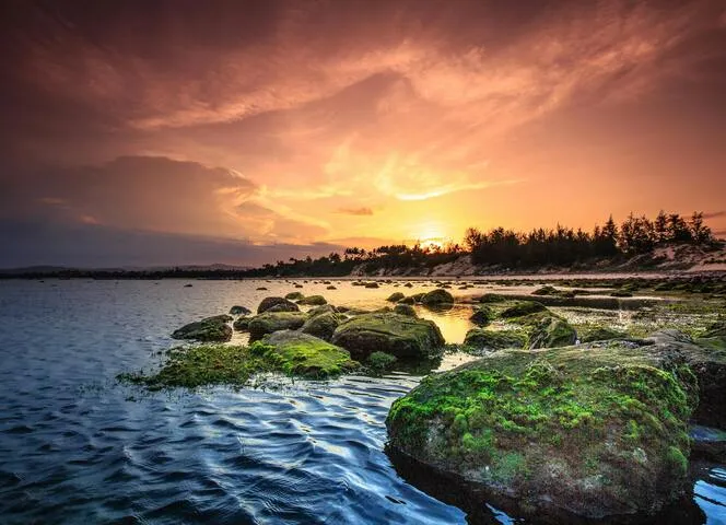 pexels-quang-nguyen-vinh-222549-2145820