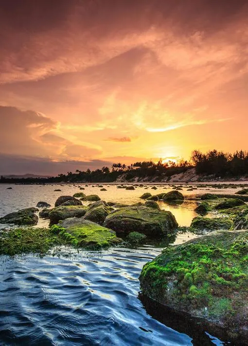 pexels-quang-nguyen-vinh-222549-2145820