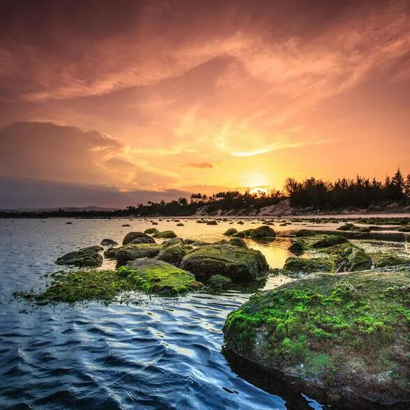 pexels-quang-nguyen-vinh-222549-2145820