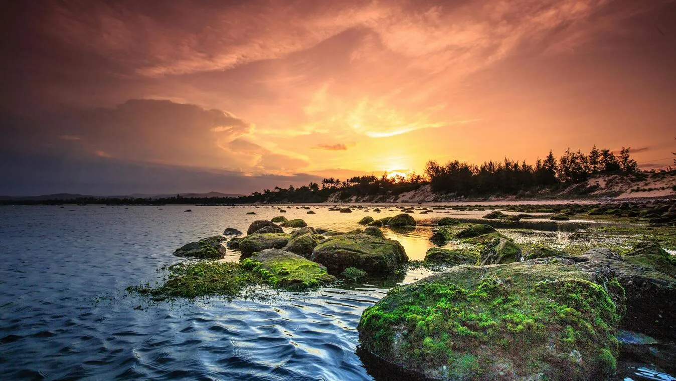 pexels-quang-nguyen-vinh-222549-2145820