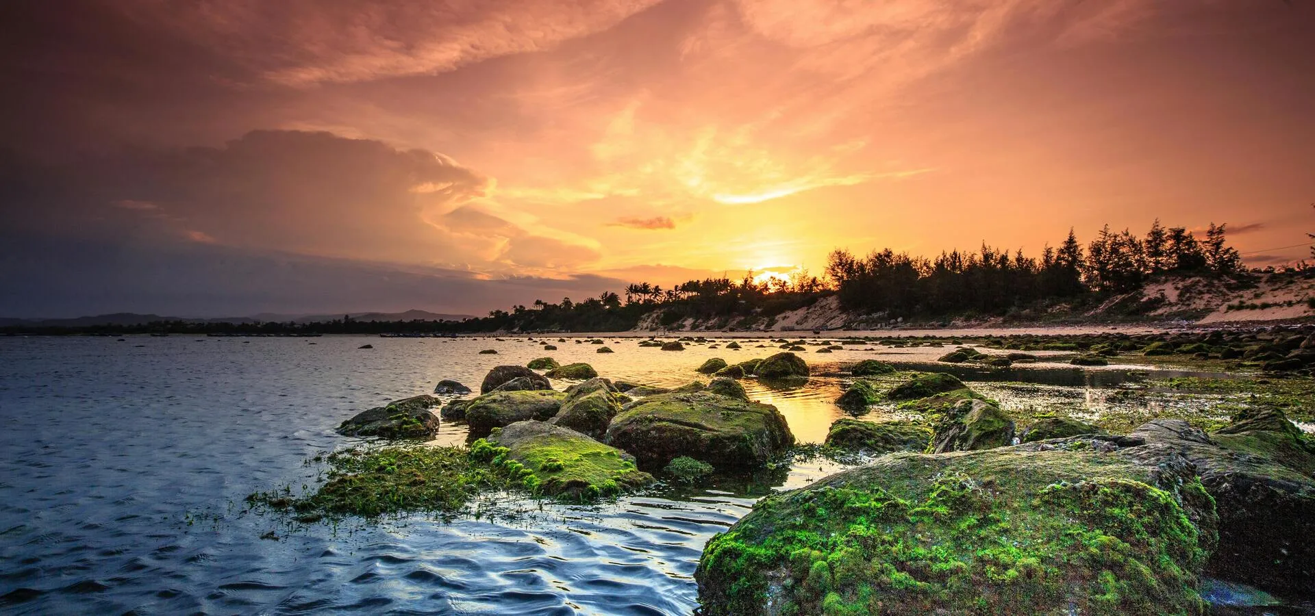 pexels-quang-nguyen-vinh-222549-2145820