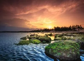 pexels-quang-nguyen-vinh-222549-2145820