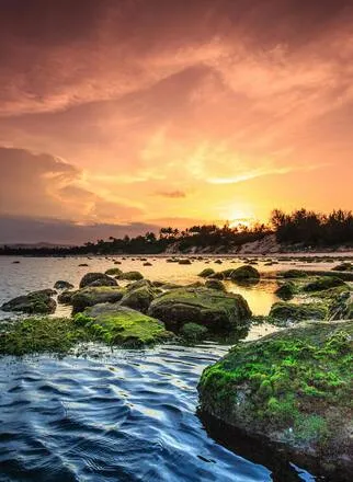 pexels-quang-nguyen-vinh-222549-2145820