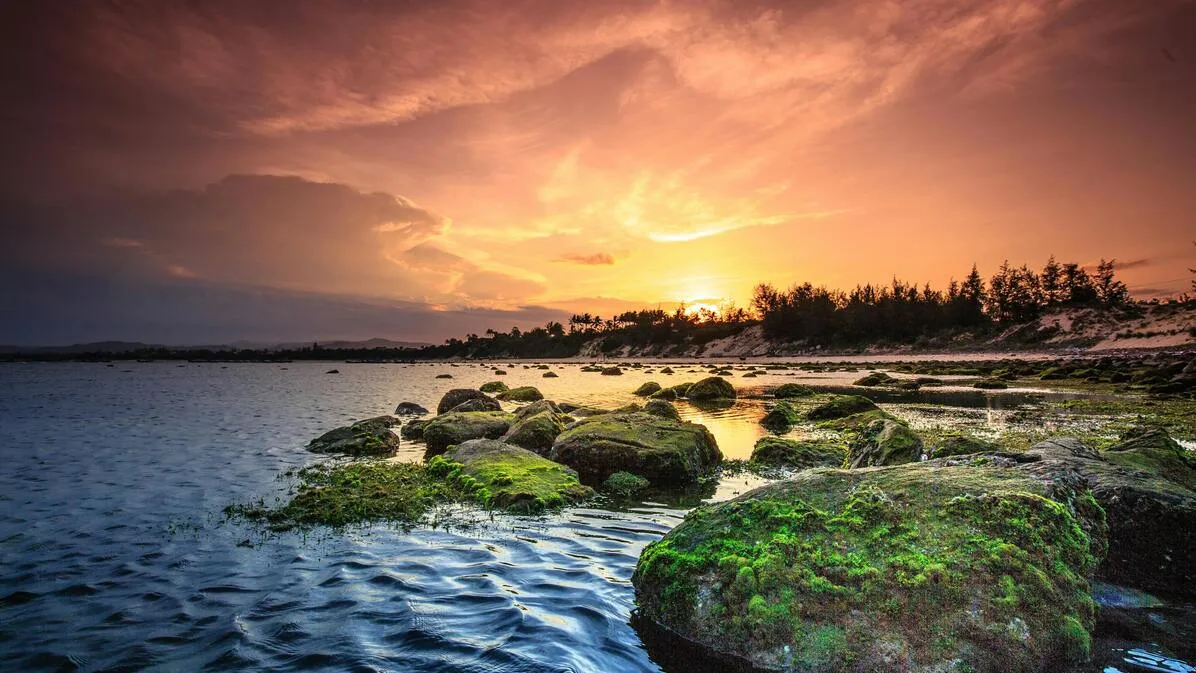 pexels-quang-nguyen-vinh-222549-2145820