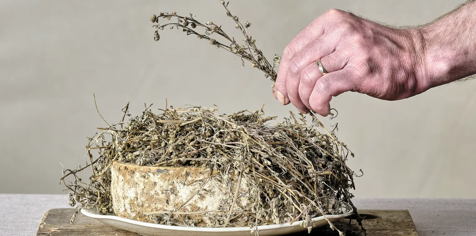 b8eebac8efbf1c14a6c6a6b304a3a319a67d932c